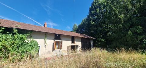Maison à vendre 3 pièces , ferme longère bressane à rénover sur T 7814m²