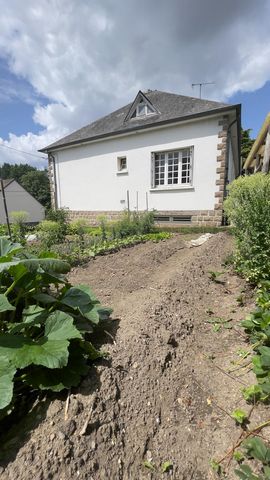 photo no. 14