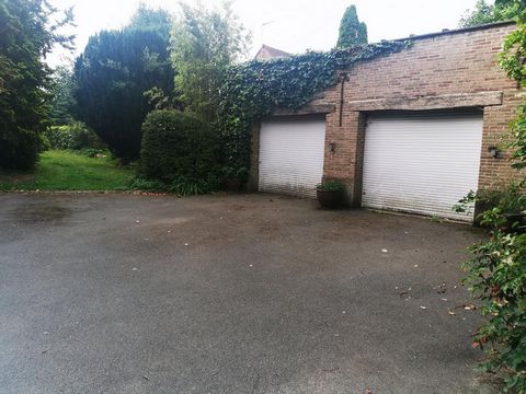 photo no. 10