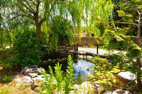 photo no. 15