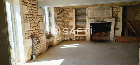 photo no. 2