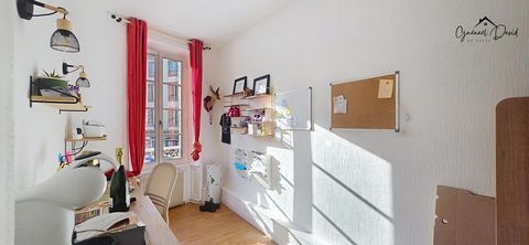 photo no. 8