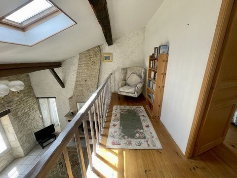 photo no. 11