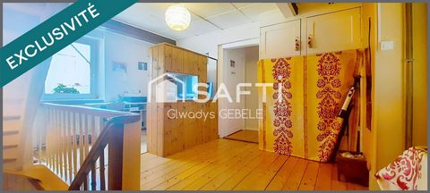 photo no. 8