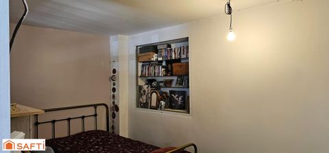 photo no. 10