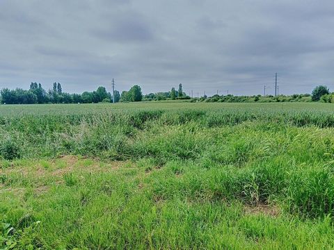 Terrain à bâtir en campagne d'Aire-sur-la-Lys