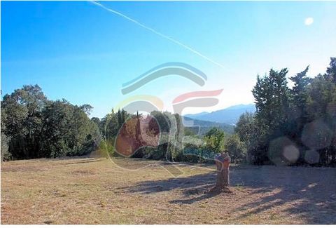 This flat plot is at the top of the green hillside of Bell Lloc, it is a very quiet area surrounded by trees with 2200m2. It has nice views of the mountains and a small sea view. Bell Lloc is south facing, so it has sun all day long and has its own m...