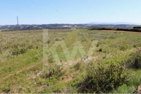 Investment opportunity for tourist project in Ribeira d'Ilhas. Possibility of building bungalows in an area of 1200m2.  Total land area is 20 000 m2 divided into three plots: P1 - 0.175 hectares P2 - 0.468 hectares P3 - 1,581 hectares CHOOSING Keller...