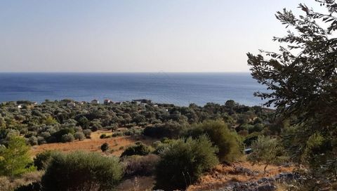 Se vende un lpot de terreno de 4.500 metros cuadrados.m. en la isla de Samos. El terreno es edificable, situado dentro del plano urbano, a 200 m. del mar con bonitas vistas al mar. 60 olivos crecen en la parcela. Precio 55.000 euros.