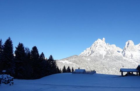 A splendid hut with a view of the Pale di San Martino (UNESCO heritage), which will give you an unforgettable holiday in Trentino breathing in the scent of its woods even inside. This home is ideal for a vacation with families. At the foot of the hut...