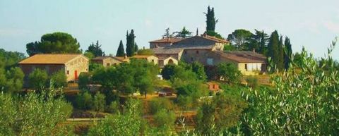 CASTELNUOVO BERARDENGA (SI): In the Chianti Classico area, Agritourism Farm with typical Tuscan farmhouses divided as follows: - Farm of 2000 sqm on 4 levels (one basement and three above ground) composed of : Basement floor with various rooms used a...