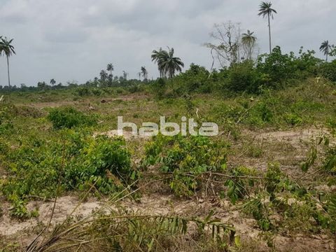 This land is located in Ibeju Lekki with nieghborhood like Leeki free trade zone, Deep sea port, Dangote Jetty, Lancampaign Tropicana $ other Residential Estates. The estates features: perimeter fencing, gate house, road network, street light, good d...