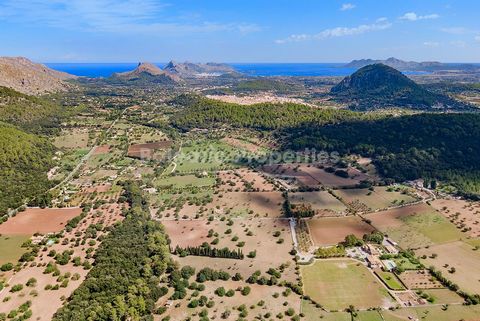 Mallorcan finca on a massive plot to be restored close to Pollensa town This enormous plot of land is for sale in the municipity of Pollensa in Northern Mallorca. Located in a peaceful valley within a 5 minute drive of the town, this is the perfect p...