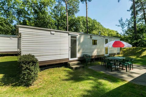 Holiday park Hengelhoef is located right on the edge of the nature area Hengelhoef, the perfect place to relax among nature, surrounded by forest, heather and hills. The holiday park itself offers various facilities for both young and old. The indoor...