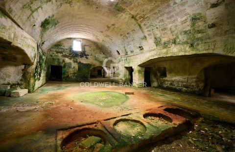 LIZZANELLO - SALENTO A few kilometers from Lecce, we offer for sale an ancient underground olive oil mill of about 610 sqm, dating back to 1700 and built in the typical tuff bank of the Salento area, with an olive grove of about 9.400 sqm. In the und...
