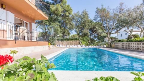 Huis gedeeld in 3 onafhankelijke appartementen met een gemeenschappelijk zwembad. Dit is de begane grond appartement. Een eenvoudig appartement (75 m2) gelegen in Calella de Palafrugell, 1 km van het strand en 1,5 km van het centrum van de stad, in e...