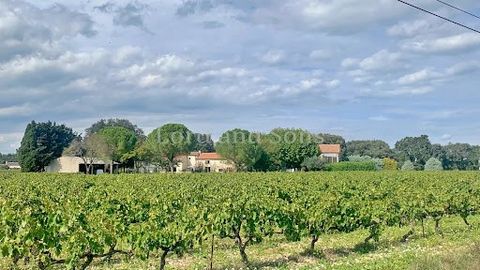 Drôme Sud, Vaucluse Nord. Weinberg von 1465 ha, bestehend aus 10 ha Rebstöcken im DOP-Dorf, der Rest in Trüffeleichen, Heide und Wäldern und einem Gebäude, das in drei bewohnbare und unabhängige Teile unterteilt ist: - eine Wohnung von ca. 56m2 klima...