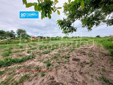 For more information, call us at ... or 02 425 68 57 and quote property reference number: ST 82023. We offer for sale a regulated plot of land in a very convenient location, just minutes from the center of the village of Trankovo and 6 km from the to...
