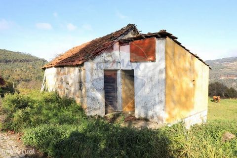 Stone house for restoration inserted in plot of land with 1.642m2. With excellent accessibility and unobstructed view over the valley of the Douro River, it benefits from spring water. The village centre of Cinfães is just 7 km away, where you can fi...