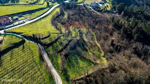 Property with agricultural skills, facing the national road crossed by a small stream, light the entrance of the property. It is located 15 minutes from the city of Amarante and the Marco de Canaveses and 60 minutes from the City of Porto and Francis...