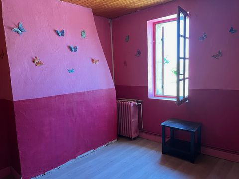 photo no. 12