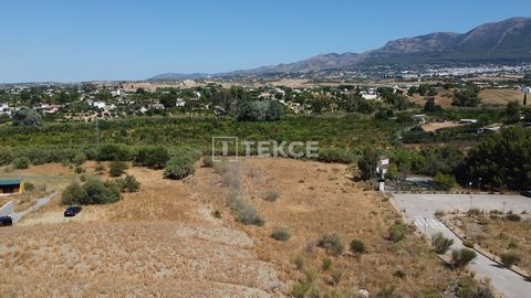 Groot Rustiek Perceel op het Platteland met Open Uitzicht in Alhaurin el Grande Malaga Dit rustieke perceel ligt in de gemeente Alhaurin el Grande. Met zijn groeiende populariteit en ontwikkeling biedt Alhaurín el Grande aanzienlijke investeringsmoge...