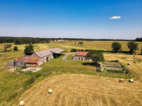 Cette ferme, située à 10 minutes de Magny-Cours, est composée de : DEPENDANCES : Stabulation 390 m2 Corps de ferme 270 m2 avec écuries Hangar 1000 m2 avec mezzanine MAISON : 3 chambres, salon, cuisine, salle d'eau + WC, grenier aménageable, garage DP...