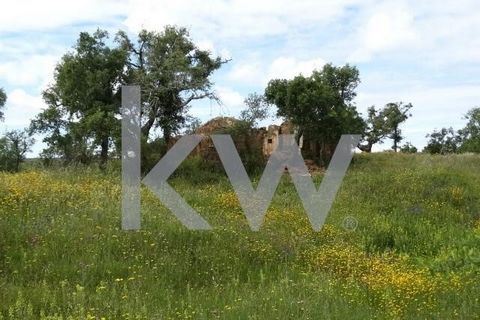 ¿Buscas un lugar tranquilo donde poder disfrutar de la naturaleza y tener la posibilidad de construir la casa que soñaste? A pocos kilómetros de las playas de la costa del Alentejo se encuentra este lugar, donde la paz y la tranquilidad hablan por sí...