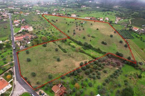 Land for construction located at the gates of the Templar City of Tomar. With excellent sun exposure, this land with about 54800m2 is feasible for the construction of one or several dream houses with a totally unobstructed view with two road fronts w...