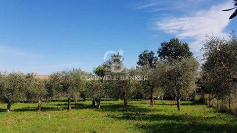 Building Land for Sale in San Felice del Benaco In a privileged position in San Felice del Benaco, we offer a plot of building land of 900 square meters, located in a quiet residential area a few steps from the center and convenient to the main servi...