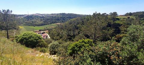 Terreno situado em Fonte Boa da Brincosa, Carvoeira. De natureza rústica e com área total de 6812m2, está inserido em Espaços Naturais e Paisagísticos, de acordo com o PDM em vigor. Localizado a poucos minutos da Ericeira e das suas praias, este terr...