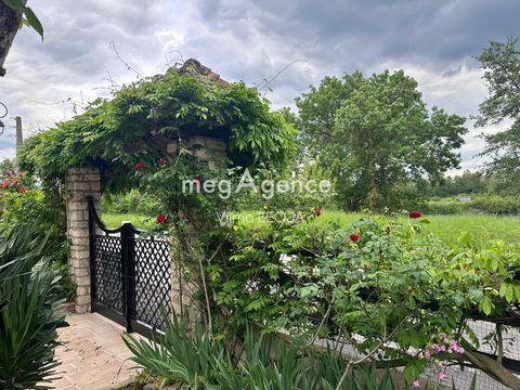 photo no. 5