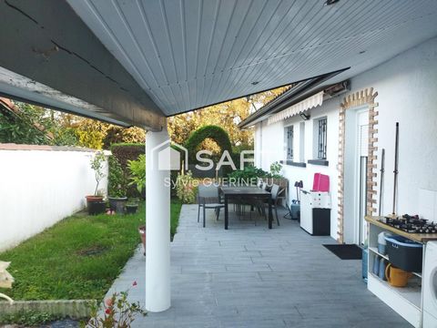 photo no. 18