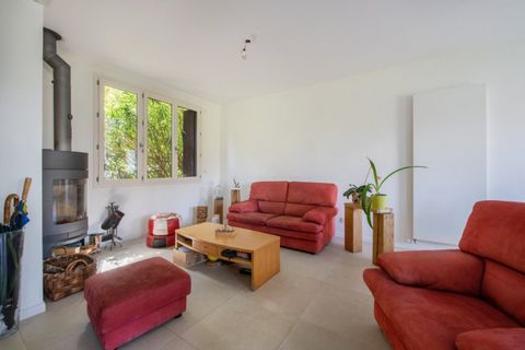 photo no. 2