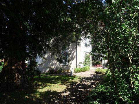 photo no. 1