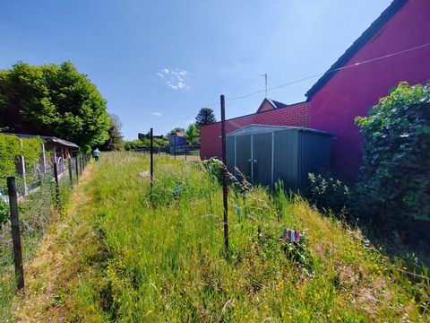 photo no. 11