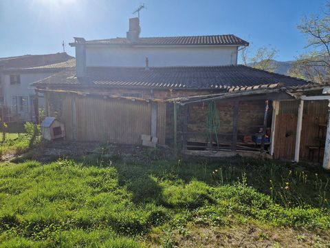 photo no. 16
