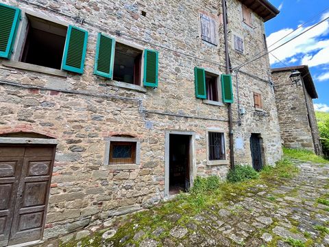 Maisonette-Wohnung mit separatem Eingang im historischen Dorf Schloss Castel San Niccolò Erdgeschoss und erster Stock - ca. 80 qm Im Herzen des charmanten mittelalterlichen Dorfes der Burg Castel San Niccolò bieten wir eine Wohnung auf zwei Ebenen mi...