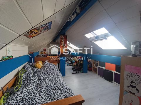 photo no. 13