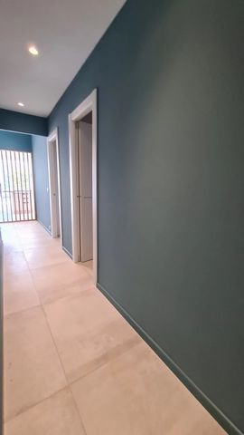 photo no. 13