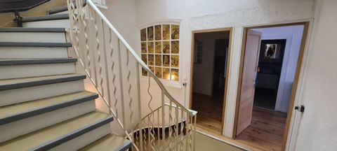 photo no. 11