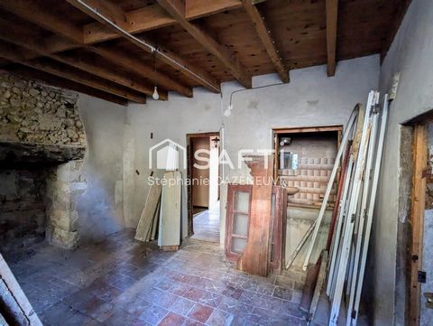 photo no. 15