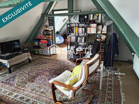 photo no. 15