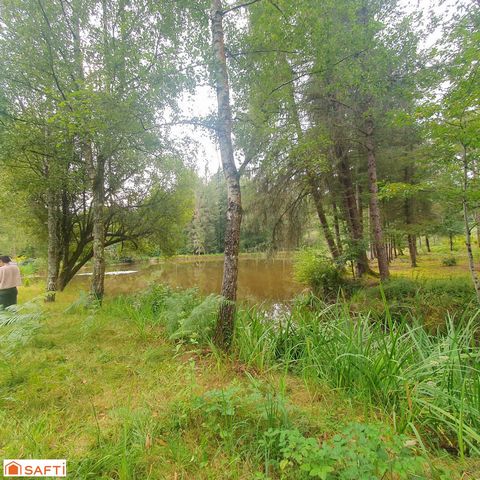 photo no. 13