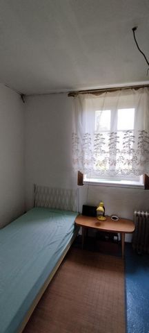 photo no. 7