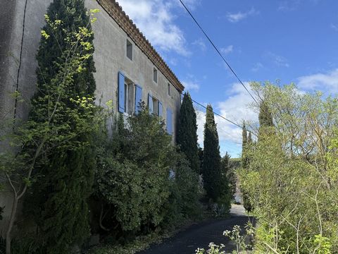 photo no. 1