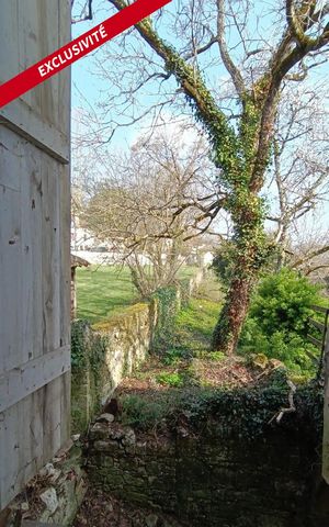 photo no. 10