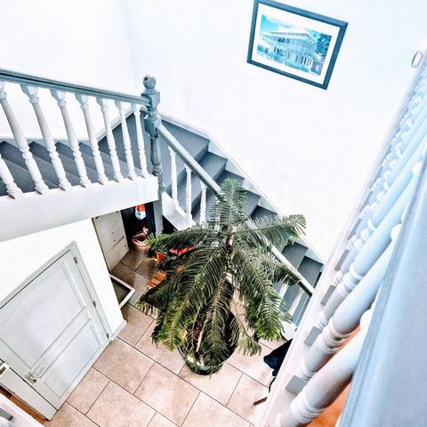 photo no. 19