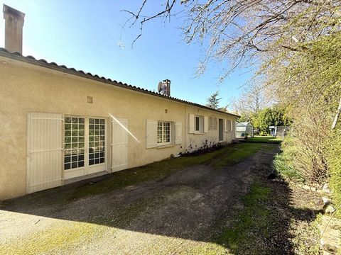 photo no. 18