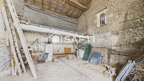 photo no. 9